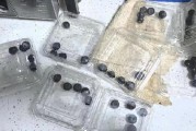 315在行動(dòng)|賽博鬼秤？直播間買8盒藍(lán)莓每盒才5顆 別讓網(wǎng)購“攔”住份量“沒”了良心