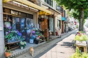 夢中的樓房，一場心靈的探索之旅，夢中的樓房，心靈探索之旅的啟程