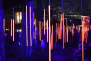 夢中喜宴，一場難忘的盛宴，夢中喜宴，難忘的盛宴之旅