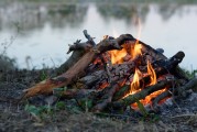 全球熱門大逃殺游戲，免費(fèi)下載與體驗(yàn)，全球熱門大逃殺游戲，免費(fèi)下載體驗(yàn)一覽