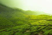 普洱新聞，茶都發(fā)展新篇章，普洱茶都新紀元，共繪發(fā)展新篇章