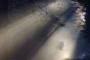 夢中情愫，解析夢中有人喜歡自己的心理奧秘，解析夢中有人喜歡自己的心理奧秘，夢中情愫的探索