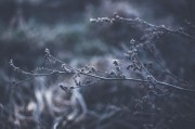 體驗(yàn)自由無拘無束的游戲世界——免費(fèi)主機(jī)游戲的魅力解析，如何領(lǐng)略自由無拘無束的游戲世界，從免費(fèi)主機(jī)游戲的特性解析