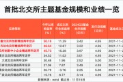 北交所主題基金 最高大賺50%！