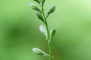 搭建菠菜網(wǎng)站的重要性與步驟，重要性，為何搭建菠菜網(wǎng)站？步驟指南