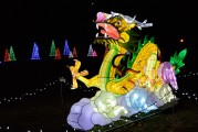 保衛(wèi)蘿卜游戲中，免費并不是一種誘惑，保衛(wèi)蘿卜，游戲中的付費意識與策略分析