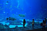 日照市是中國山東省的一個海濱城市，擁有豐富的旅游資源和文化底蘊。隨著互聯(lián)網(wǎng)技術(shù)的發(fā)展，日照的旅游業(yè)也在不斷壯大。日照網(wǎng)站優(yōu)化的重要性不言而喻。，日照，中國山東省海濱城市的旅游資源與文化魅力