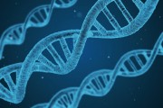 搭建一個(gè)功能完善的wap網(wǎng)站需要經(jīng)過許多步驟和復(fù)雜的技術(shù)。本文將詳細(xì)介紹如何搭建一個(gè)基本的wap網(wǎng)站，并通過實(shí)例演示其開發(fā)過程。，基礎(chǔ)wap網(wǎng)站搭建步驟及實(shí)例演示