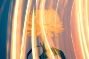 CCG（Collective Content Game），一個(gè)讓玩家盡情探索的免費(fèi)游戲世界，自由探索，無(wú)拘無(wú)束！體驗(yàn)CCG的魅力，免費(fèi)游戲世界之旅