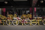 "車(chē)庫(kù)禁停新能源車(chē)"？廣東省博物館回應(yīng)