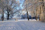 冰雪奇緣游戲——讓你置身于一個全新的冰雪世界！，冰雪奇緣冒險，沉浸式游戲體驗(yàn)帶你穿越奇妙冰雪世界