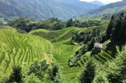 農(nóng)業(yè)新聞，綠色轉(zhuǎn)型下的中國農(nóng)業(yè)新篇章，綠色轉(zhuǎn)型引領下的中國農(nóng)業(yè)新紀元