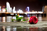 夢(mèng)中的情感紐帶——與男朋友的朋友的奇妙邂逅，夢(mèng)中的情感紐帶，與男朋友的朋友的奇妙邂逅的回憶與體驗(yàn)