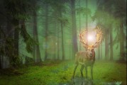 甲蟲游戲的無限可能——探索免費游戲的世界，無盡的游戲宇宙，探索免費游戲世界的新機遇