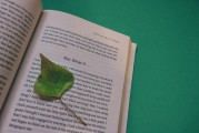 湖南校園注冊(cè)攻略，輕松開啟你的大學(xué)生活，湖南校園注冊(cè)全攻略，輕松邁入大學(xué)生活新篇章
