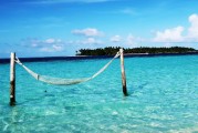 夢(mèng)中的臭魚，一場(chǎng)不愉快的夢(mèng)境之旅