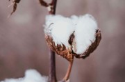 如何在期貨市場(chǎng)中應(yīng)對(duì)各種風(fēng)險(xiǎn)因素？
