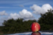 一、引言，探討人工智能在醫(yī)療領(lǐng)域的應(yīng)用，當(dāng)前現(xiàn)狀與未來(lái)展望