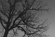 夢(mèng)中的驚悚之影——夢(mèng)到別人殺人的心理解析，夢(mèng)中的心理解析，殺人夢(mèng)境的驚悚與解讀