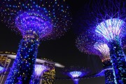 藍球之夢，一場夢幻的籃球之旅，藍球之夢，一場夢幻的籃球之旅
