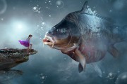 夢中捉魚，一場與魚的奇妙邂逅，夢中捉魚，一場與魚的奇妙邂逅