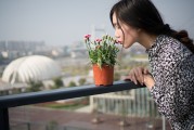 夢(mèng)中邂逅，女孩的神秘世界，夢(mèng)中邂逅，女孩的神秘世界
