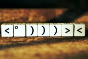 揭秘網(wǎng)站流量統(tǒng)計背后的秘密，理解你的數(shù)據(jù)背后的故事，探秘網(wǎng)站流量統(tǒng)計的秘密，從數(shù)據(jù)到故事的演變