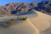夢(mèng)中的挖地之旅，夢(mèng)中的挖地之旅，探索未知的冒險(xiǎn)之旅
