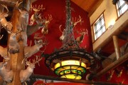 游戲盛宴，盤點(diǎn)市面上最熱門的免費(fèi)網(wǎng)游游戲大全，年度爆款免費(fèi)網(wǎng)游盤點(diǎn)，你最愛的是哪一款？