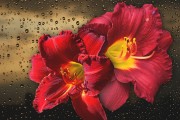 妃容天下游戲全線上免費！你還在等什么？這款以歷史背景和精美畫面為題材的手機游戲，即將在全線上全面開啟。，妃容天下手游預約開啟