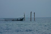 夢中的魚影，一次自我探索的殺魚夢，夢中之魚影，一次自我探索的殺魚夢境