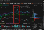 祥源文旅非經(jīng)營性資金占用雖已歸還，但仍被出具警示函！