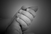 孕婦夢到狼，寓意與解讀，孕婦夢到狼的寓意與解讀