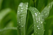 一則新聞引發(fā)的深思，我國成功研發(fā)新型環(huán)保材料，助力綠色發(fā)展，我國新型環(huán)保材料研發(fā)突破，綠色發(fā)展戰(zhàn)略再獲助力