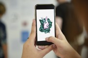 探索網(wǎng)站郵箱的全新維度，使用電子郵件捕獲插件，全新維度，探索郵件電子郵件捕獲插件
