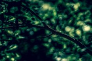 夢(mèng)到牙齒掉落，解讀夢(mèng)境中的象征意義