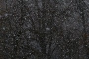 夢中雪舞，心靈的洗禮，夢中雪舞，心靈的洗禮