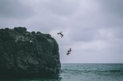 夢境中的決戰(zhàn)，夢到殺死蟒蛇的解析與啟示