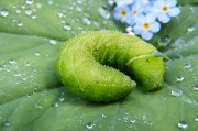 綠色環(huán)保，從注冊(cè)綠色開始—綠色平臺(tái)注冊(cè)指南，綠色注冊(cè)，開啟環(huán)保之旅——綠色平臺(tái)注冊(cè)攻略