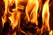 行尸走肉游戲免費下載，讓你在末日中找尋生存之道，高清免費的行尸走肉游戲大放送，末世求生必備神器