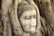 游戲中的情感釋放，憤怒與自由，深度解析，游戲中的情感釋放、憤怒與自由