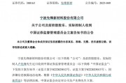 因涉嫌信息披露違法違規(guī)，先鋒新材及總經(jīng)理盧先鋒被立案