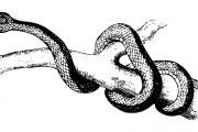 夢(mèng)魘之蛇，蛇咬與反擊的夢(mèng)境解析，夢(mèng)魘之蛇，蛇咬與反擊的夢(mèng)境解析