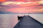 夢中的驚險(xiǎn)之旅，一場被鱷魚追逐的噩夢，夢中的驚險(xiǎn)之旅，被鱷魚追逐的噩夢