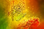 季節(jié)游戲，免費(fèi)游戲的狂歡盛宴，電子競技，一場無需付費(fèi)、歡樂無邊的游戲盛宴