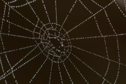 Unity開發(fā)的概述，Unity，創(chuàng)建3D游戲和應(yīng)用程序的強(qiáng)大工具