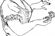 女人夢(mèng)到黑蛇，解讀與解析，女人夢(mèng)到黑蛇，解讀與解析