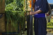 能在掙錢的免費農場游戲中生存下去嗎？，逃脫農地，自由農場生存挑戰(zhàn)