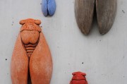 孕婦夢(mèng)到公雞的寓意與解讀，孕婦夢(mèng)到公雞的寓意與象征解讀