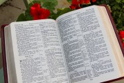 團員證漏注冊怎么辦？全方位解答您的困惑，團員證注冊遺漏解決方案全解析